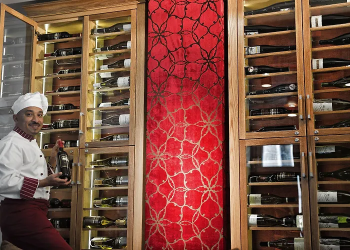 Mercure Zentrum Superior 酒店 柏林